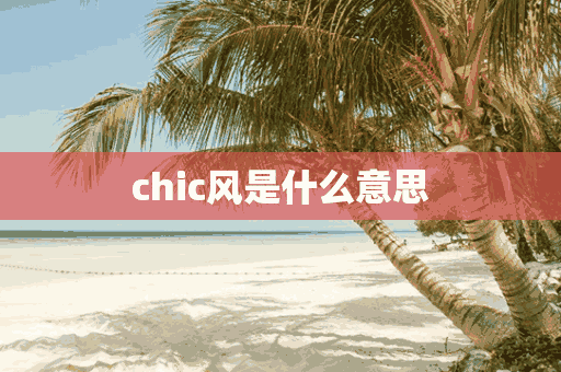 chic风是什么意思(穿出你的chic风是什么意思)